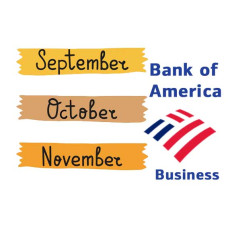 September, October, November 2024 Bank of America (Business) 3 Months Bank Statement